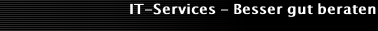 IT-Services - Besser gut beraten